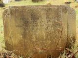 image of grave number 432722
